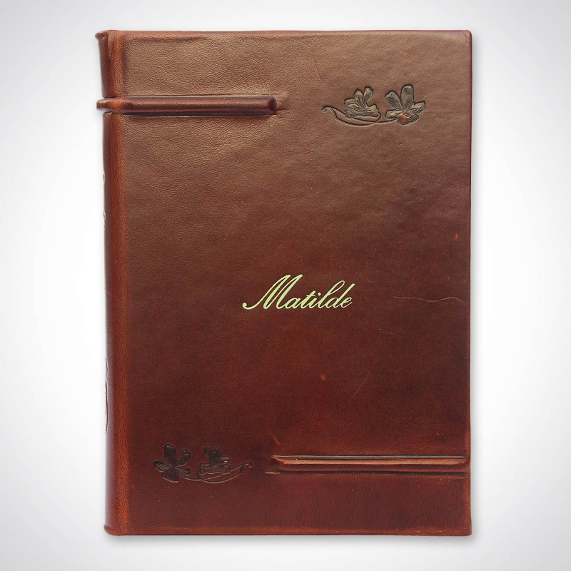 Diario Matilde